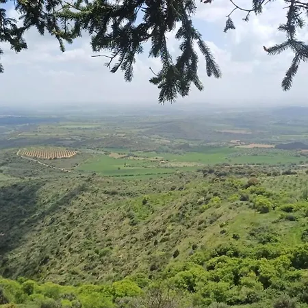 El Sauce Santa Eulalia la Mayor